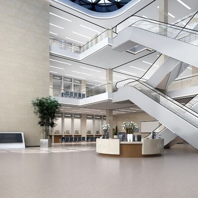 acheter Commercial Shopping Mall Pvc plancher en rouleau Vinyle homogène et imperméable online manufacture