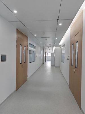 Porte oscillante de salle blanche en bois en acier à grain double Porte métallique d'hôpital avec vision en verre